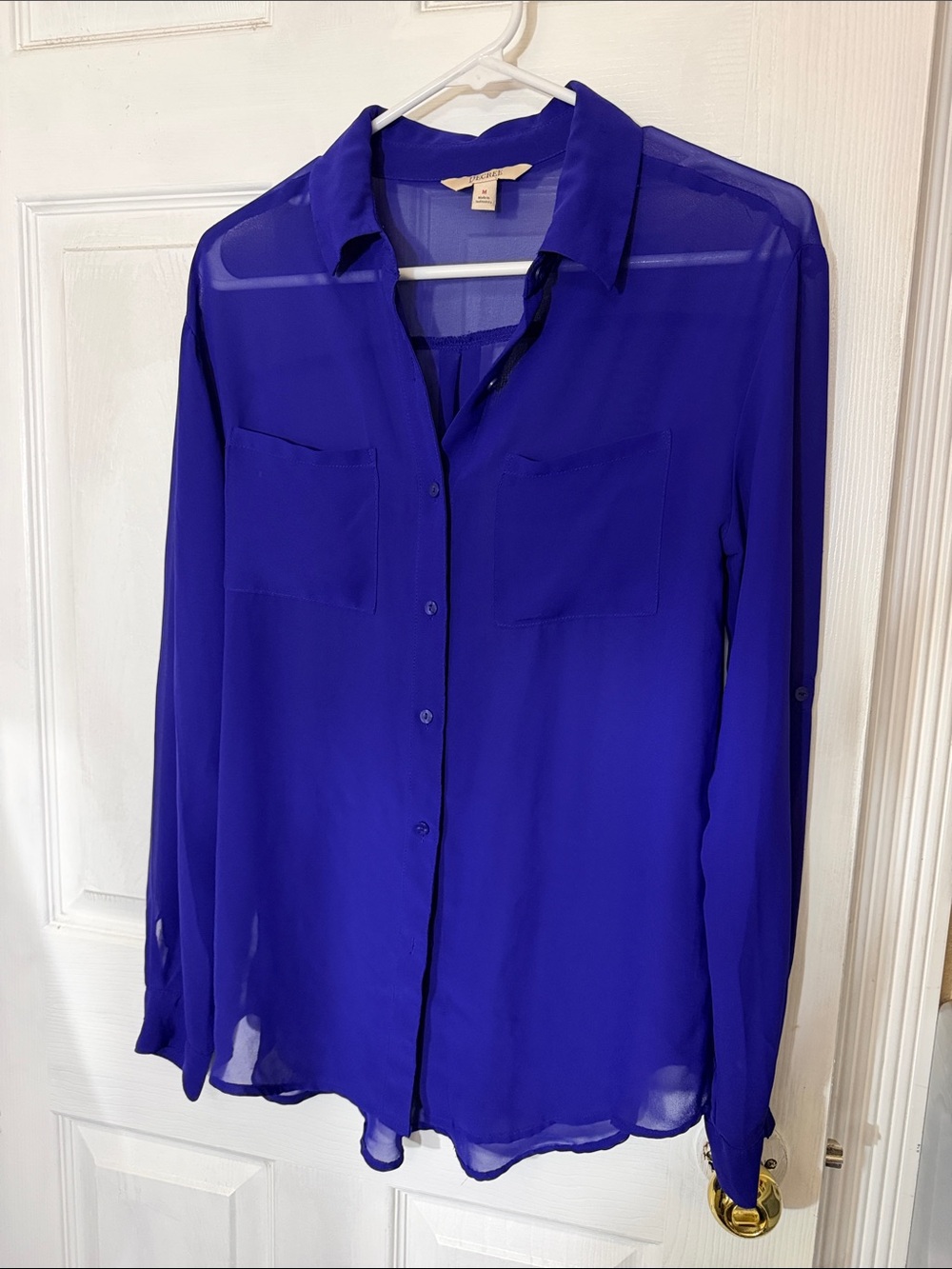 Decree Sheer Button-Front Blouse in Deep Blue